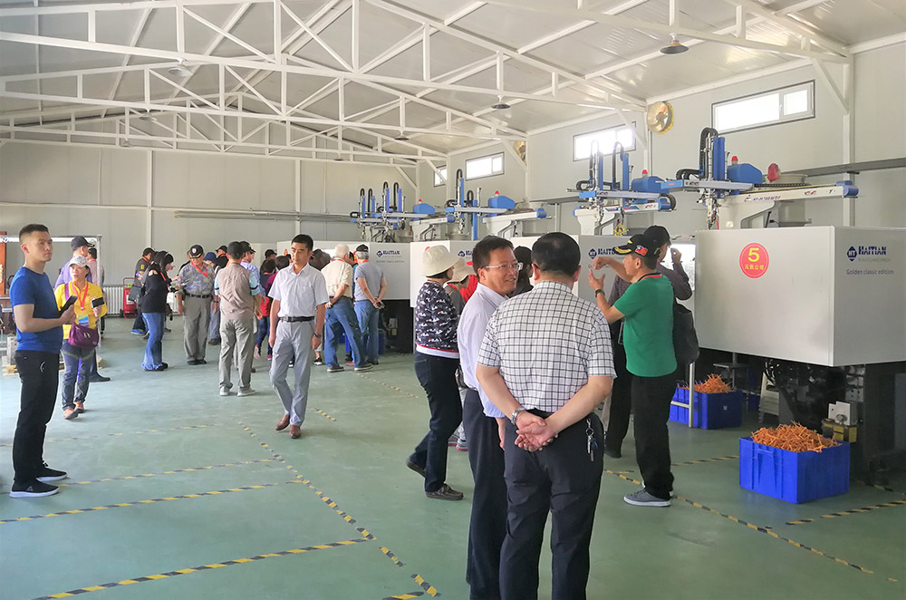 元?jiǎng)P冬蟲夏草